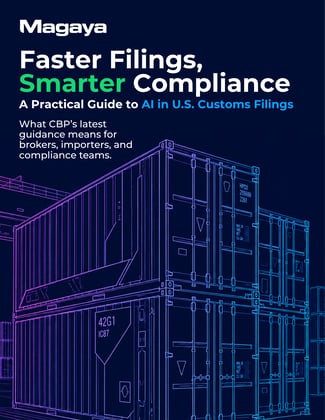 Customs AI Guide Cover