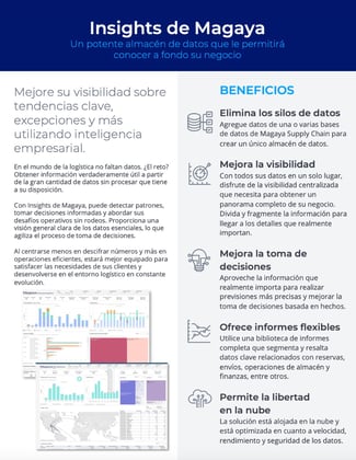 Insights de Magaya